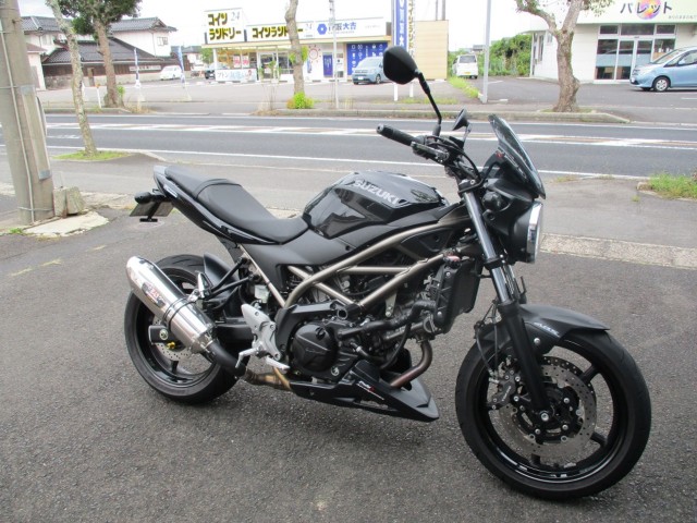�X�Y�LSV650�i�������o�_�s�j�摜1