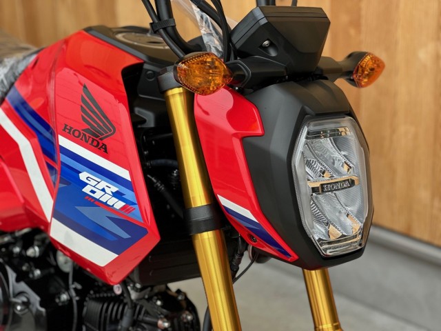 �z���_�O�����i���Q�������s�j�摜6