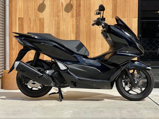 �z���_PCX�i���Q�������s�j�摜1