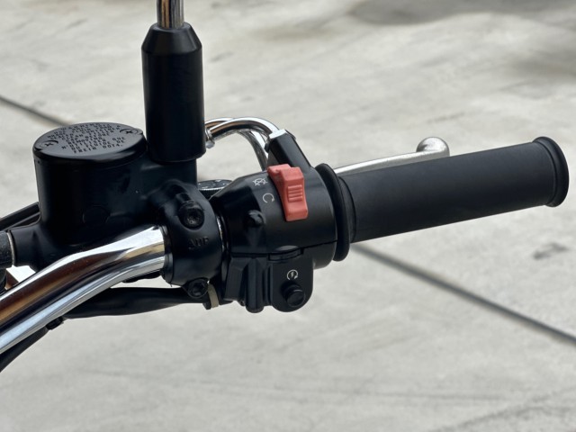 �J���T�LW800�i���Q�������s�j�摜19