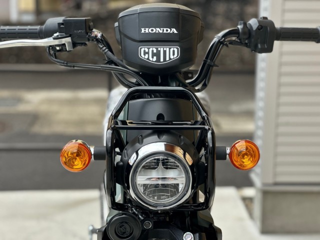 �z���_�N���X�J�u110�i���Q�������s�j�摜5