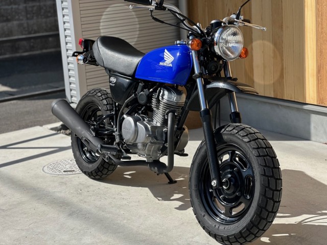 �z���_�G�C�v50�i���Q�������s�j�摜4