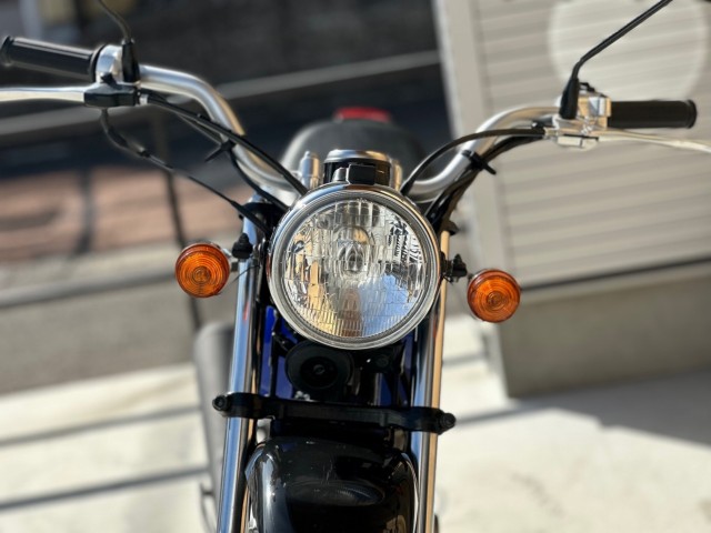 �z���_�G�C�v50�i���Q�������s�j�摜5