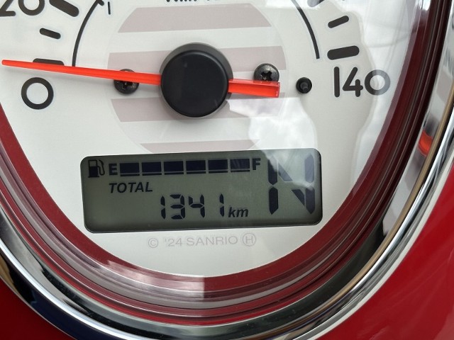 �z���_�X�[�p�[�J�u110�i���Q�������s�j�摜22