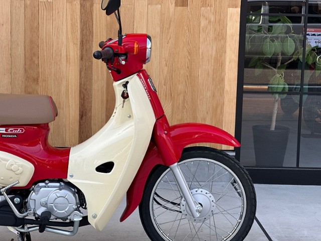 �z���_�X�[�p�[�J�u50�i���Q�������s�j�摜2
