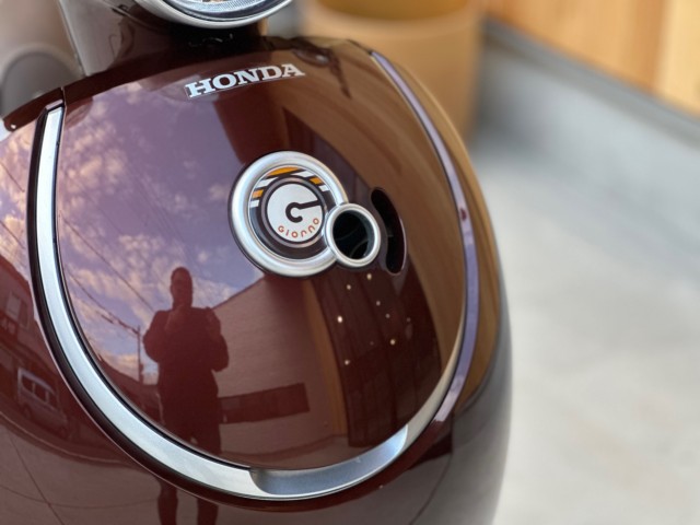 �z���_�W�����m�i���Q�������s�j�摜11