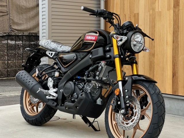 ���}�nXSR155�i���Q�������s�j�摜4