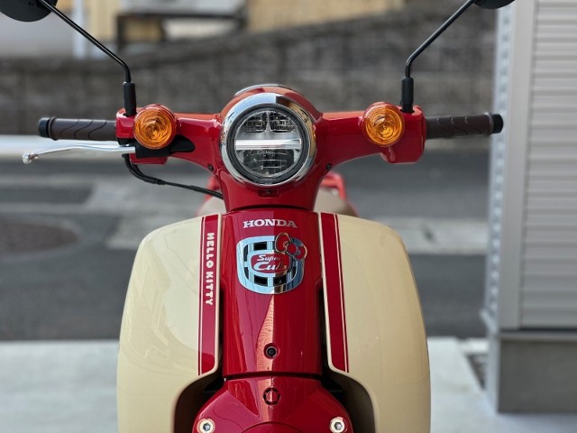�z���_�X�[�p�[�J�u50�i���Q�������s�j�摜5