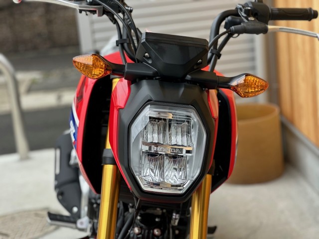 �z���_�O�����i���Q�������s�j�摜5