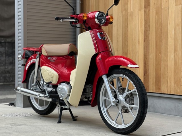 �z���_�X�[�p�[�J�u110�i���Q�������s�j�摜4