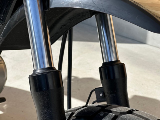 �z���_�G�C�v50�i���Q�������s�j�摜12