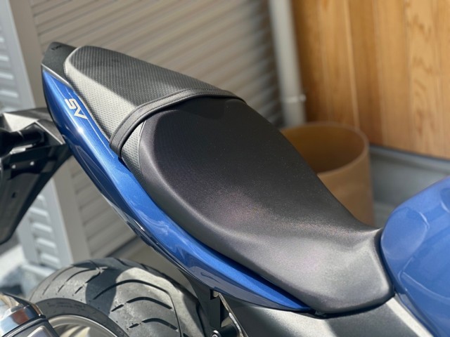 �X�Y�LSV650�i���Q�������s�j�摜21