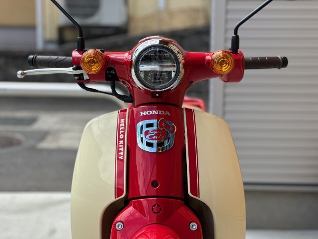 �z���_�X�[�p�[�J�u110�i���Q�������s�j�摜5