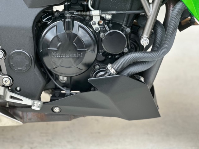 JTLZ250SLiQsj摜21