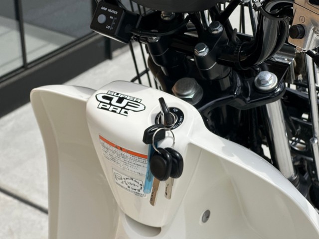 �z���_�X�[�p�[�J�u110�v���i���Q�������s�j�摜15