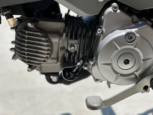 �z���_�N���X�J�u50�i���Q�������s�j�摜25