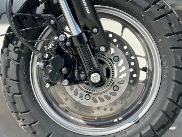 �z���_�����L�[125�i���Q�������s�j�摜11