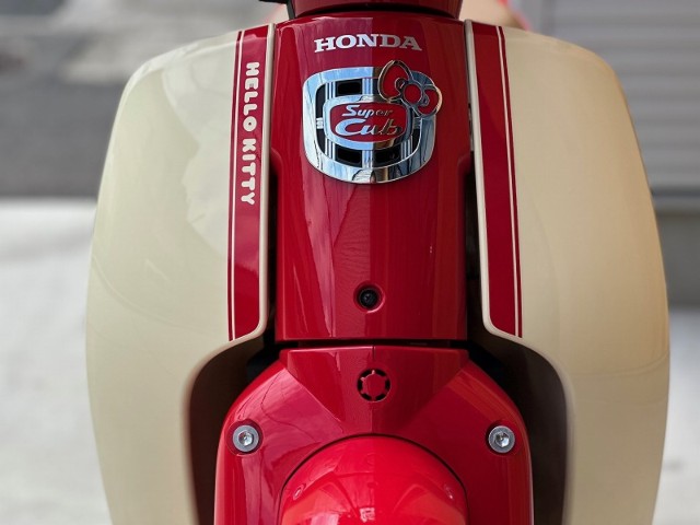 �z���_�X�[�p�[�J�u110�i���Q�������s�j�摜8