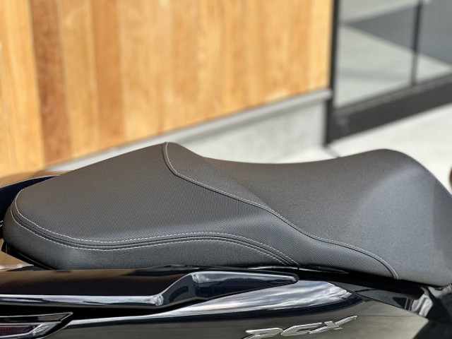 �z���_PCX�i���Q�������s�j�摜17