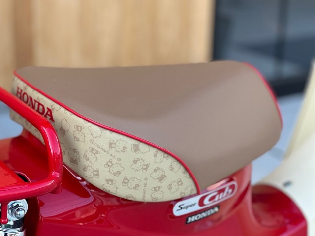�z���_�X�[�p�[�J�u50�i���Q�������s�j�摜14