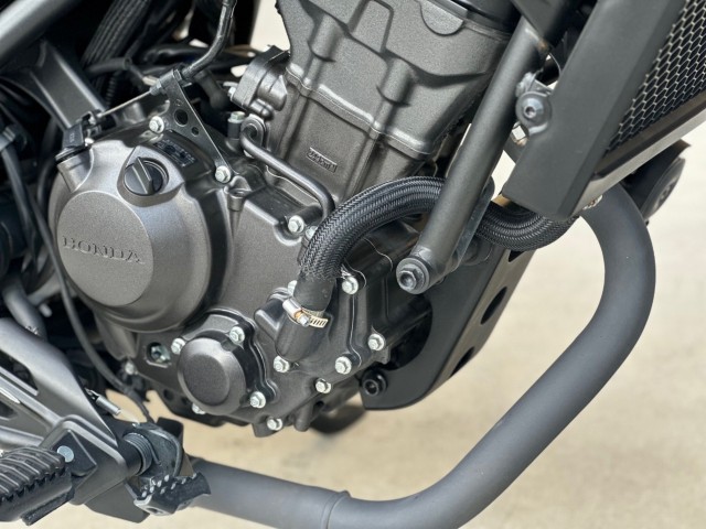 �z���_���u��250�i���Q�������s�j�摜19