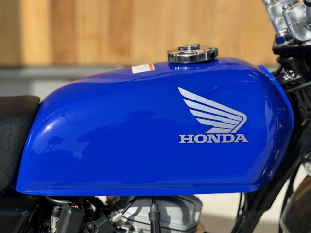 �z���_�G�C�v50�i���Q�������s�j�摜19