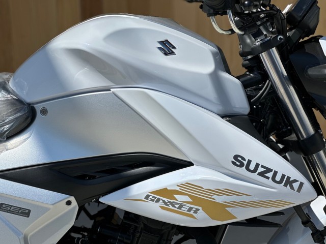 �X�Y�L�W�N�T�[250�i���Q�������s�j�摜7