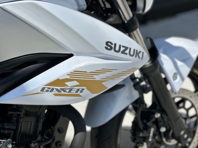 �X�Y�L�W�N�T�[250�i���Q�������s�j�摜8