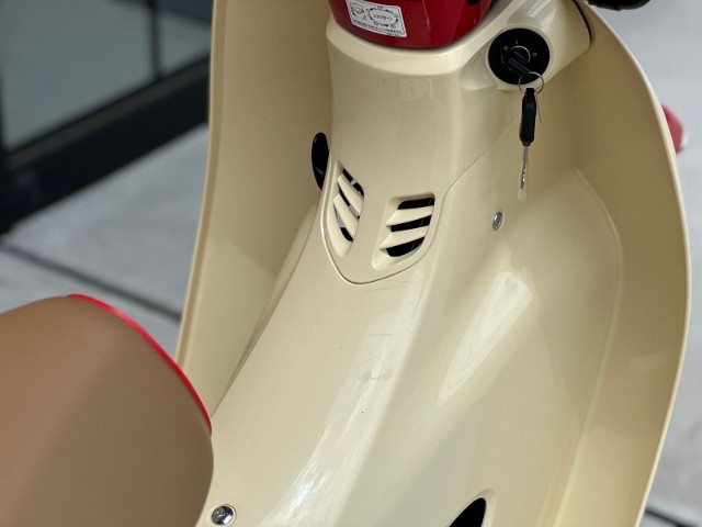 �z���_�X�[�p�[�J�u110�i���Q�������s�j�摜13