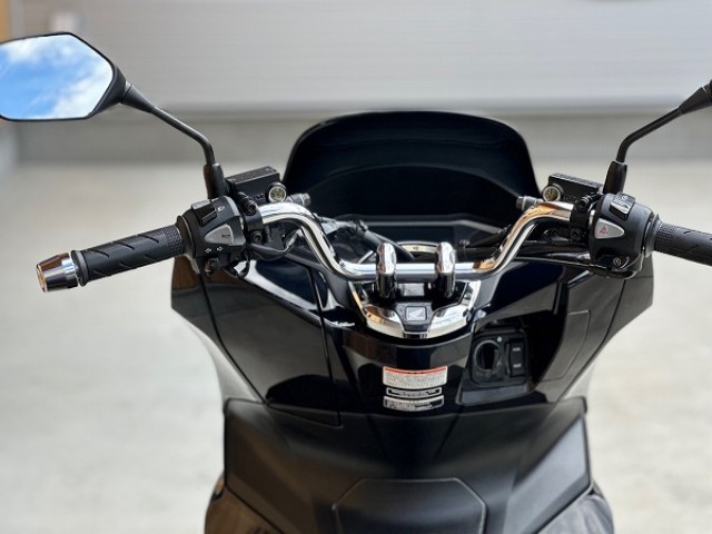 �z���_PCX�i���Q�������s�j�摜22