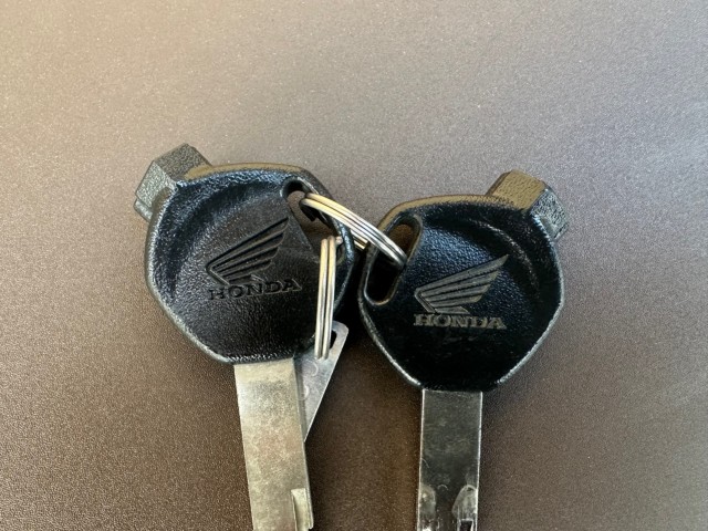 �z���_�W�����m�i���Q�������s�j�摜25