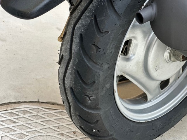 �X�Y�L���b�c�o�X�P�b�g�i���Q�������s�j�摜19