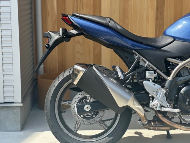 �X�Y�LSV650�i���Q�������s�j�摜3