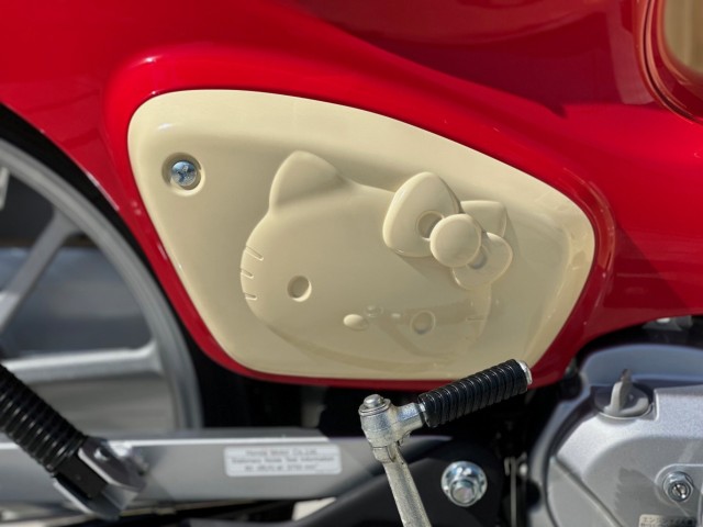 �z���_�X�[�p�[�J�u110�i���Q�������s�j�摜21