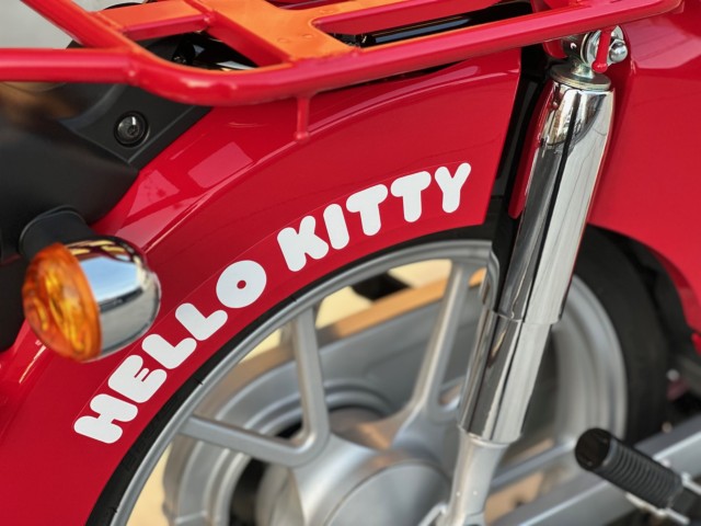 �z���_�X�[�p�[�J�u110�i���Q�������s�j�摜20