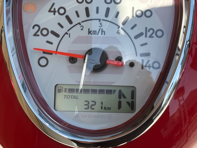 �z���_�X�[�p�[�J�u110�i���Q�������s�j�摜26