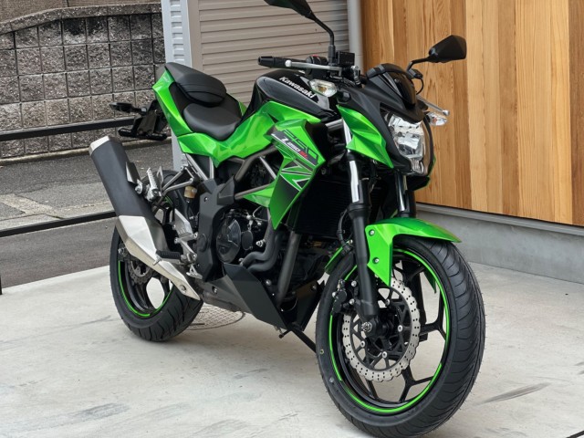 JTLZ250SLiQsj摜4