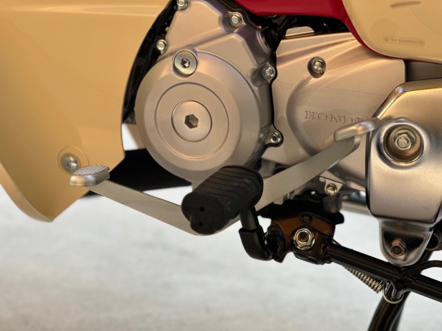 �z���_�X�[�p�[�J�u110�i���Q�������s�j�摜25