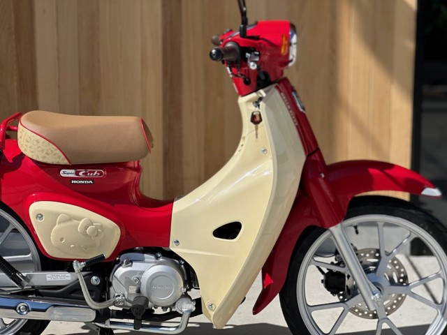 �z���_�X�[�p�[�J�u110�i���Q�������s�j�摜2