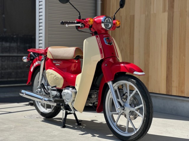 �z���_�X�[�p�[�J�u110�i���Q�������s�j�摜3