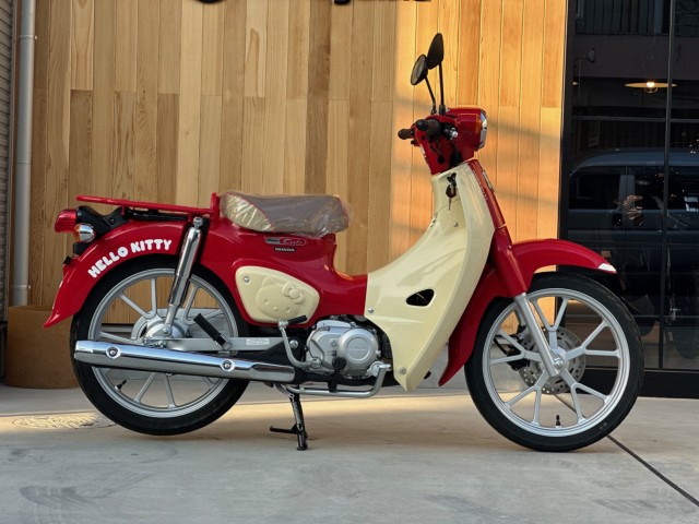 �z���_�X�[�p�[�J�u110�i���Q�������s�j�摜1