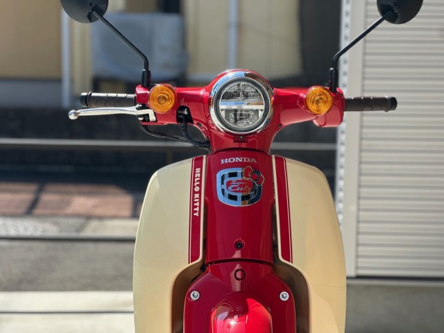 �z���_�X�[�p�[�J�u110�i���Q�������s�j�摜4