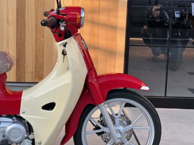 �z���_�X�[�p�[�J�u110�i���Q�������s�j�摜2