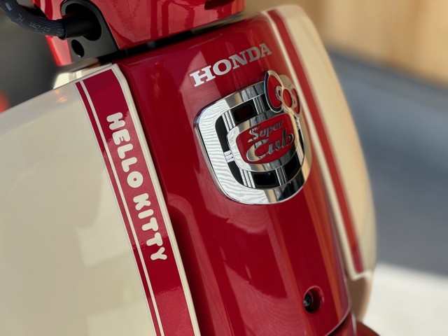 �z���_�X�[�p�[�J�u110�i���Q�������s�j�摜6