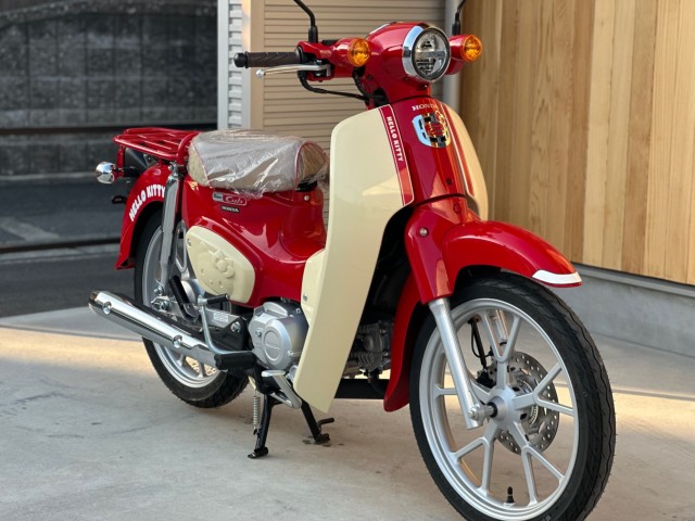 �z���_�X�[�p�[�J�u110�i���Q�������s�j�摜4