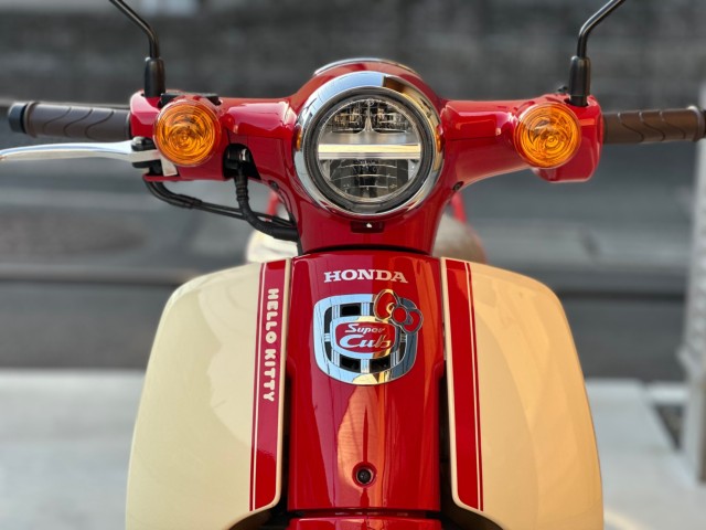 �z���_�X�[�p�[�J�u110�i���Q�������s�j�摜5