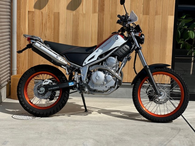 ���}�n�g���b�J�[�i���Q�������s�j�摜1