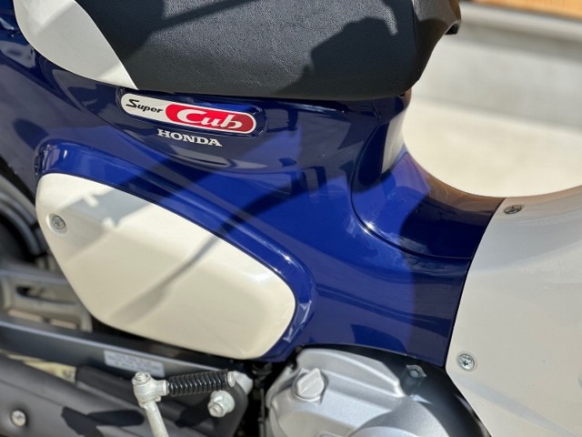 �z���_�X�[�p�[�J�u110�v���i���Q�������s�j�摜16