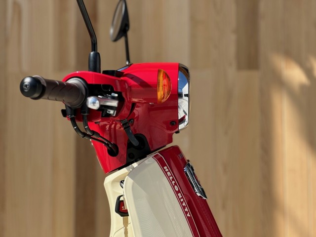 �z���_�X�[�p�[�J�u110�i���Q�������s�j�摜10