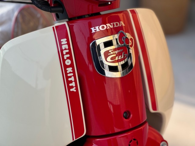 �z���_�X�[�p�[�J�u110�i���Q�������s�j�摜9